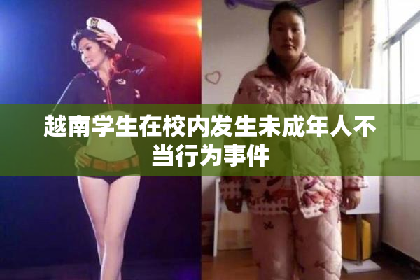 越南学生在校内发生未成年人不当行为事件