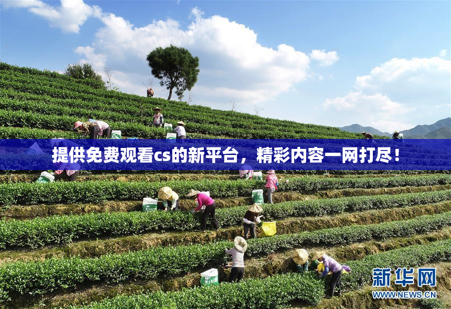 提供免费观看cs的新平台，精彩内容一网打尽！
