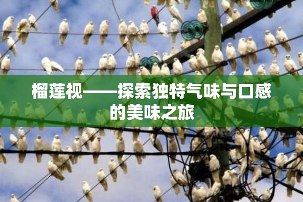 榴莲视——探索独特气味与口感的美味之旅