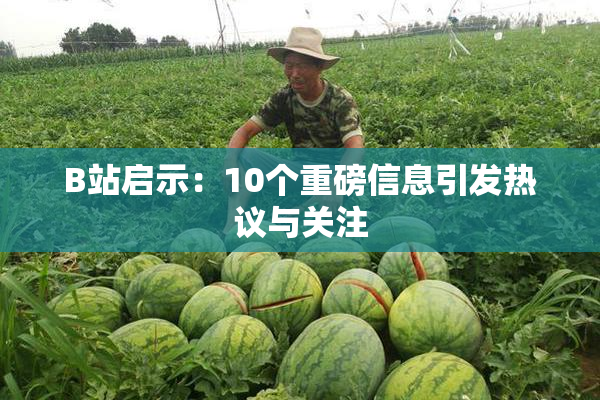 B站启示：10个重磅信息引发热议与关注