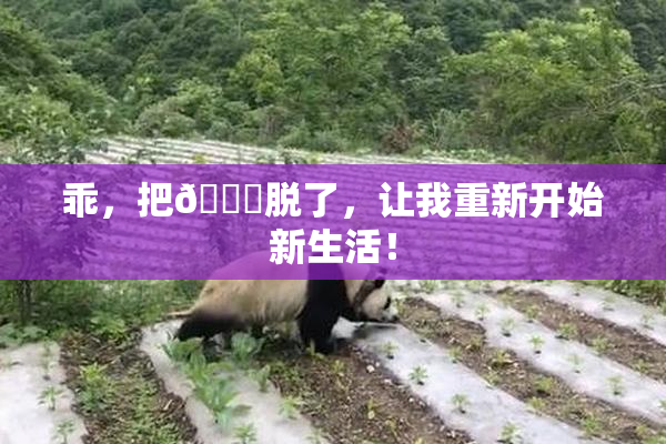 乖，把👙脱了，让我重新开始新生活！