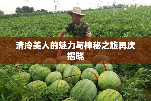 清冷美人的魅力与神秘之旅再次揭晓