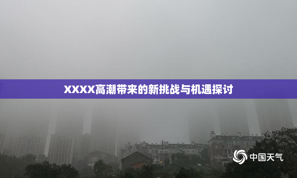XXXX高潮带来的新挑战与机遇探讨
