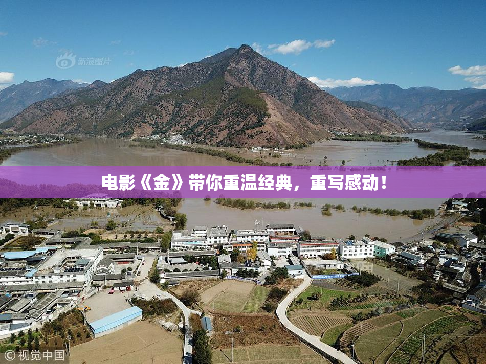 电影《金》带你重温经典，重写感动！