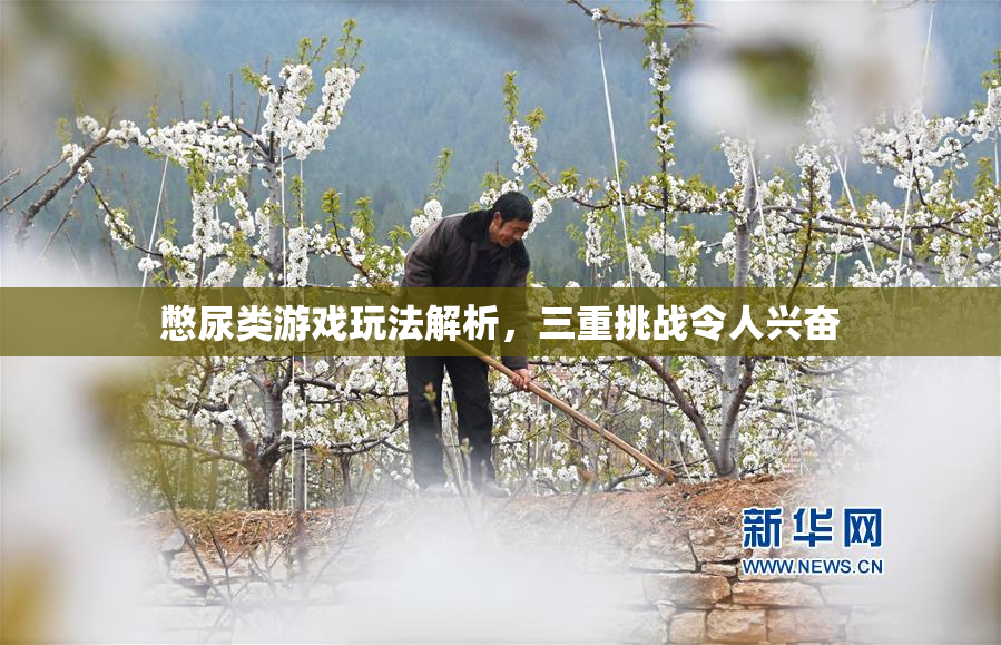 憋尿类游戏玩法解析，三重挑战令人兴奋