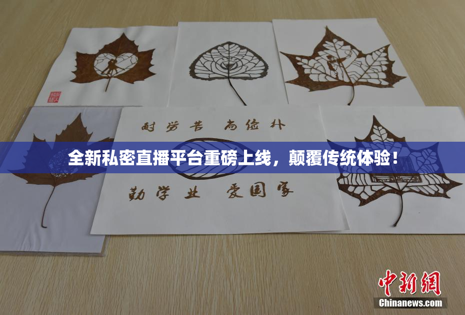 全新私密直播平台重磅上线，颠覆传统体验！