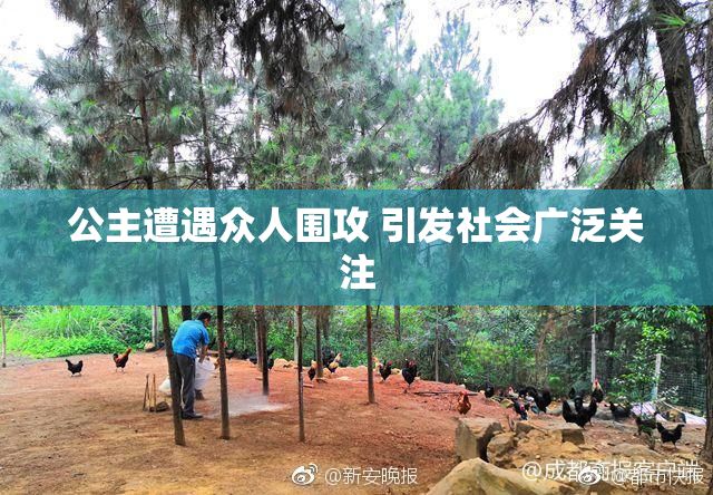 公主遭遇众人围攻 引发社会广泛关注