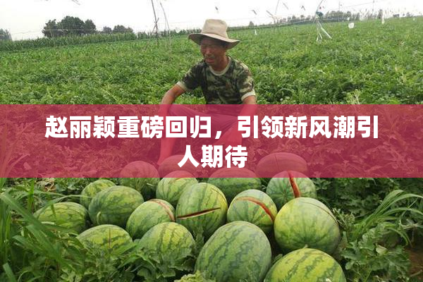 赵丽颖重磅回归，引领新风潮引人期待