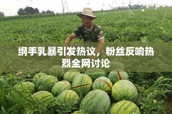 纲手乳暴引发热议，粉丝反响热烈全网讨论