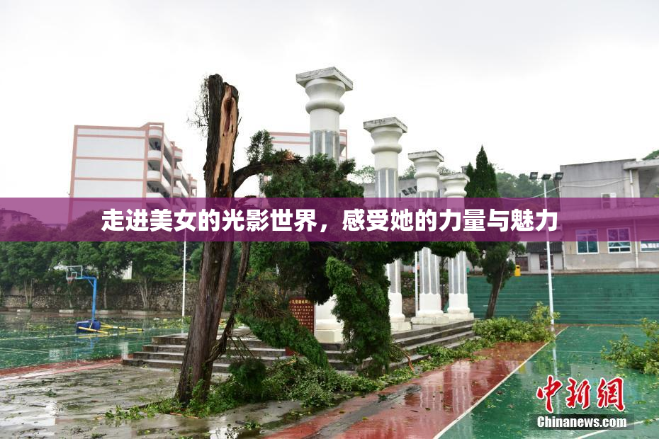 走进美女的光影世界，感受她的力量与魅力