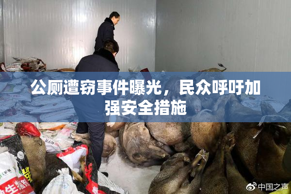 公厕遭窃事件曝光，民众呼吁加强安全措施
