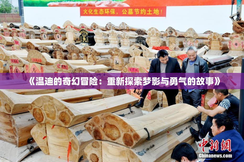 《温迪的奇幻冒险：重新探索梦影与勇气的故事》