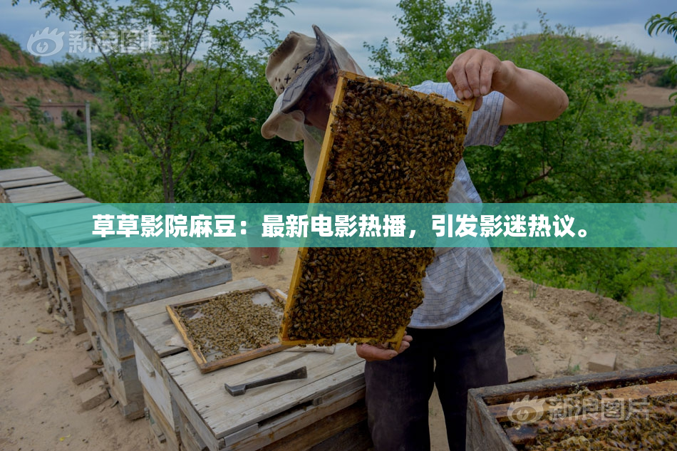 草草影院麻豆：最新电影热播，引发影迷热议。