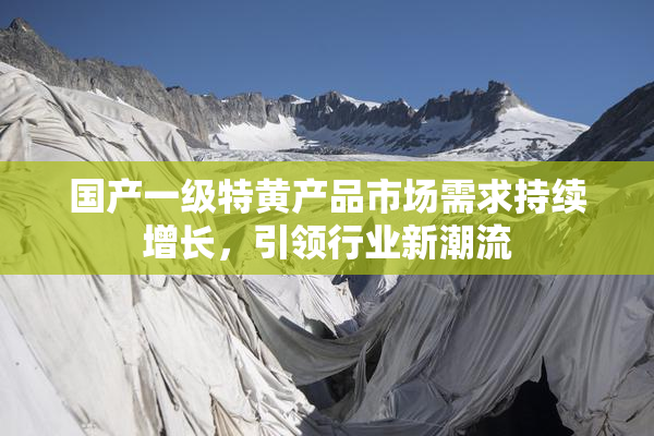 国产一级特黄产品市场需求持续增长，引领行业新潮流