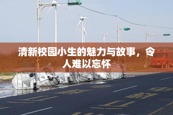 清新校园小生的魅力与故事，令人难以忘怀