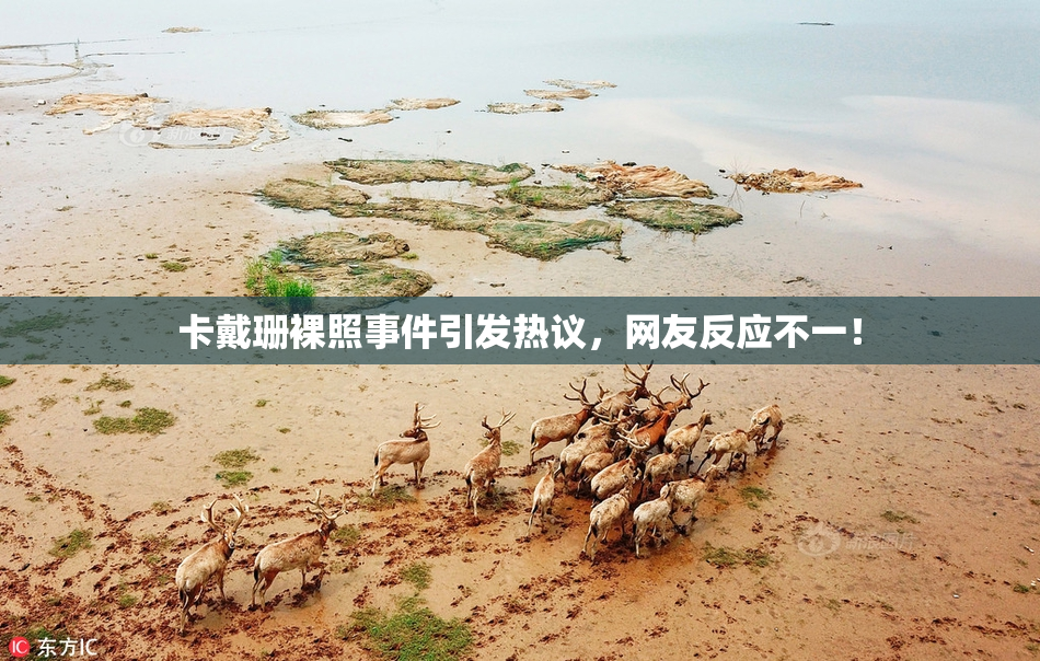卡戴珊裸照事件引发热议，网友反应不一！