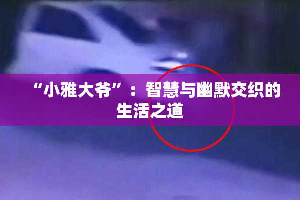 “小雅大爷”：智慧与幽默交织的生活之道