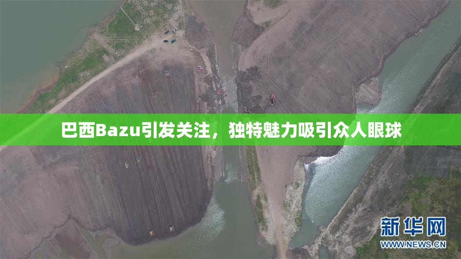 巴西Bazu引发关注，独特魅力吸引众人眼球