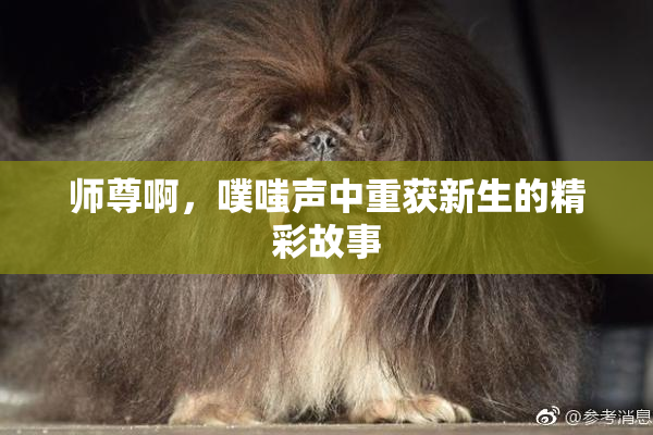 师尊啊，噗嗤声中重获新生的精彩故事