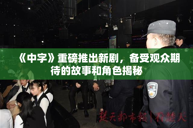 《中字》重磅推出新剧，备受观众期待的故事和角色揭秘