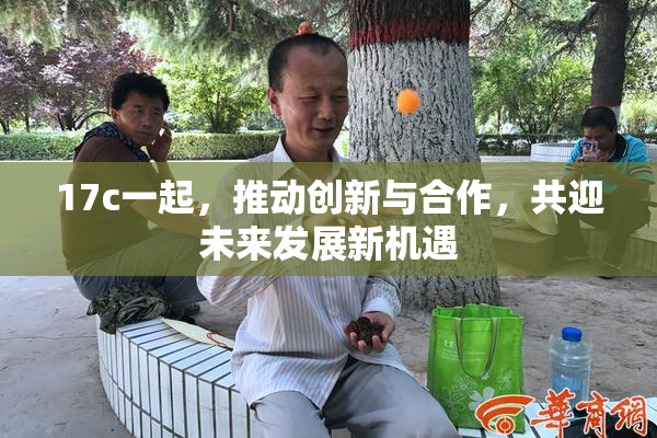 17c一起，推动创新与合作，共迎未来发展新机遇