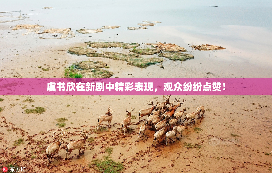 虞书欣在新剧中精彩表现，观众纷纷点赞！