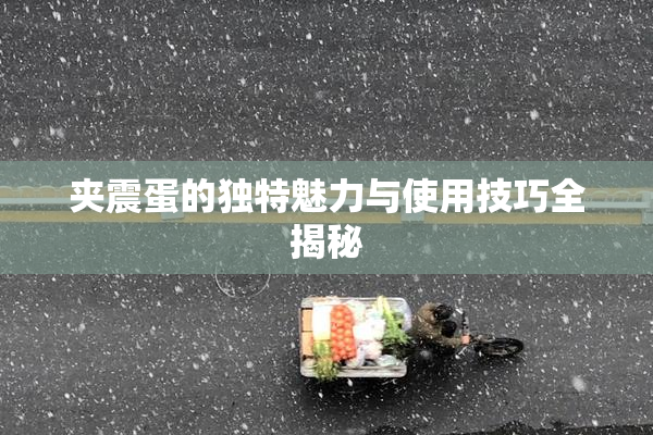 夹震蛋的独特魅力与使用技巧全揭秘