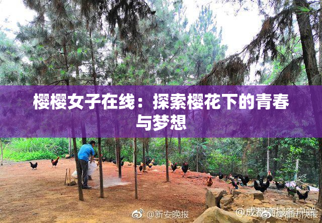 樱樱女子在线：探索樱花下的青春与梦想