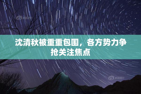 沈清秋被重重包围，各方势力争抢关注焦点