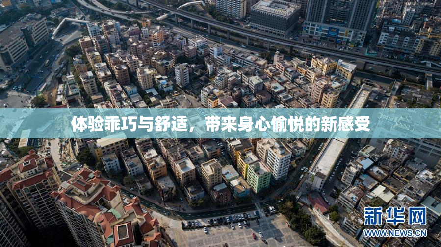 体验乖巧与舒适，带来身心愉悦的新感受