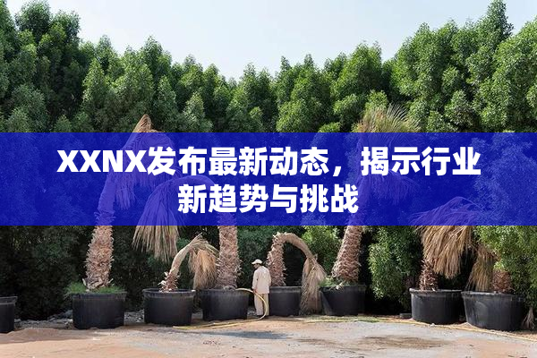 XXNX发布最新动态，揭示行业新趋势与挑战