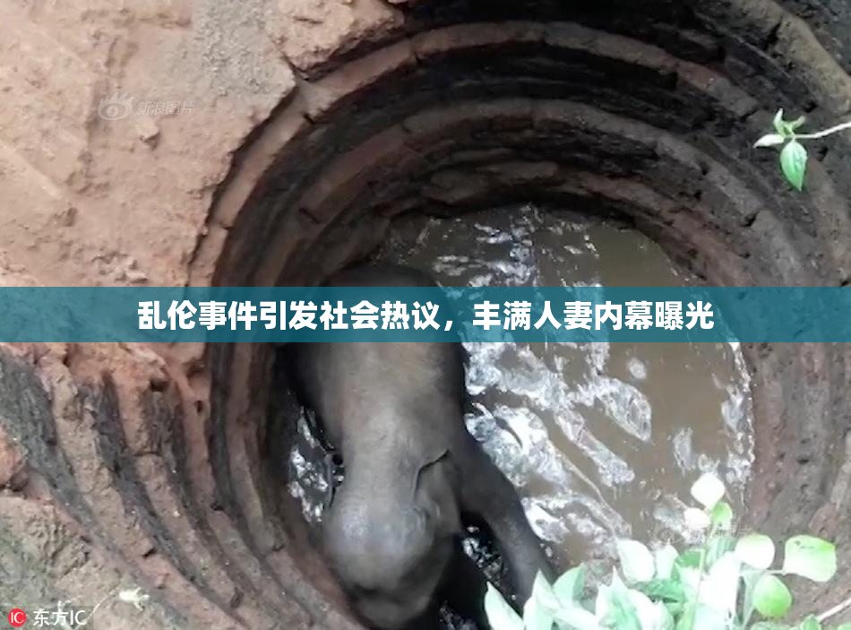 乱伦事件引发社会热议，丰满人妻内幕曝光