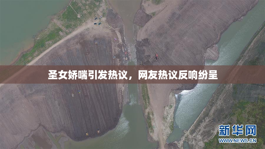 圣女娇喘引发热议，网友热议反响纷呈