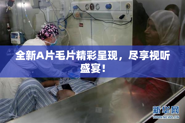 全新A片毛片精彩呈现，尽享视听盛宴！