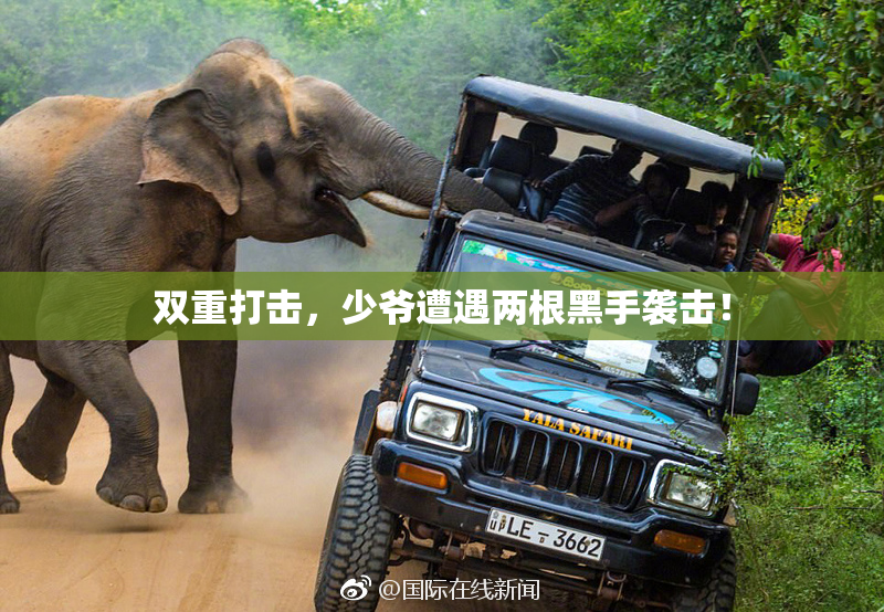 双重打击，少爷遭遇两根黑手袭击！