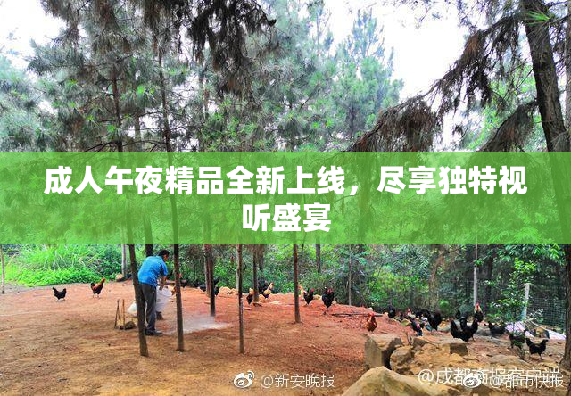 成人午夜精品全新上线，尽享独特视听盛宴