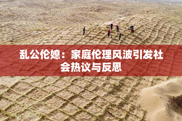 乱公伦媳：家庭伦理风波引发社会热议与反思