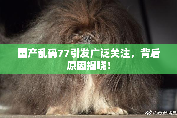 国产乱码77引发广泛关注，背后原因揭晓！