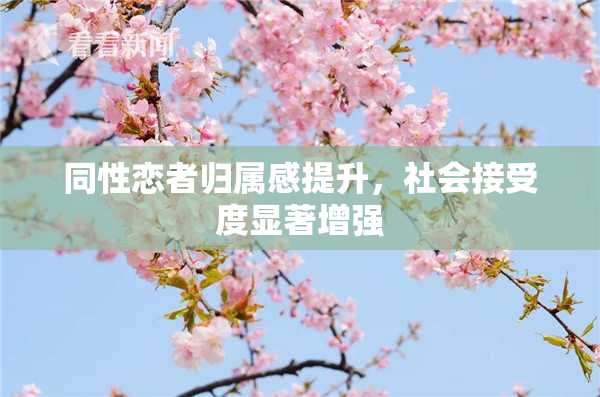 同性恋者归属感提升，社会接受度显著增强