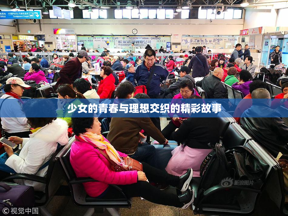 少女的青春与理想交织的精彩故事