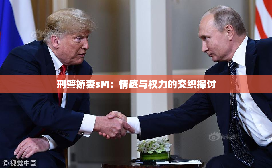 刑警娇妻sM：情感与权力的交织探讨