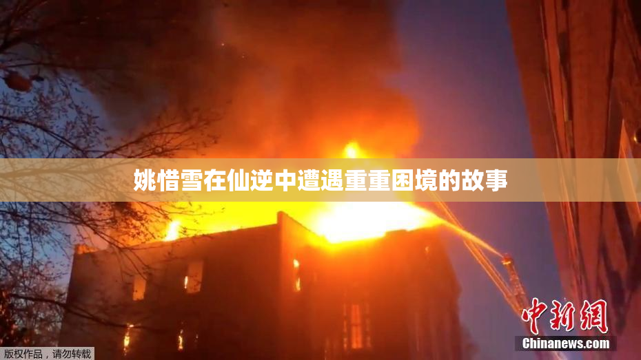姚惜雪在仙逆中遭遇重重困境的故事