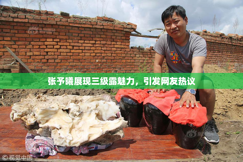 张予曦展现三级露魅力，引发网友热议