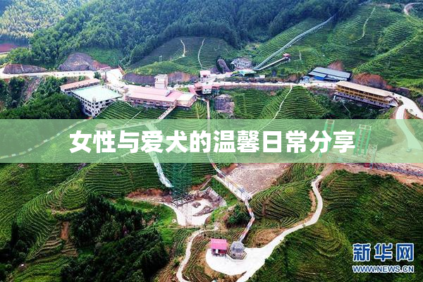 女性与爱犬的温馨日常分享