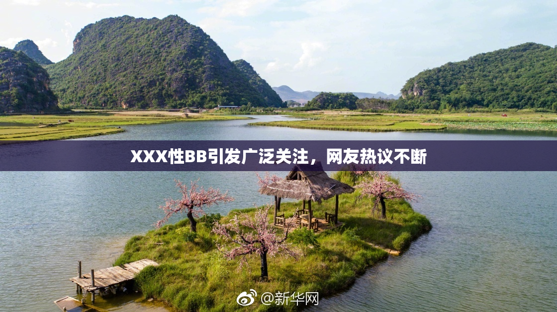XXX性BB引发广泛关注，网友热议不断