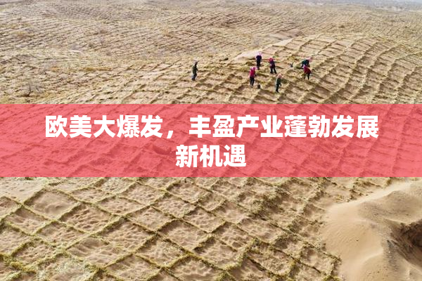 欧美大爆发，丰盈产业蓬勃发展新机遇