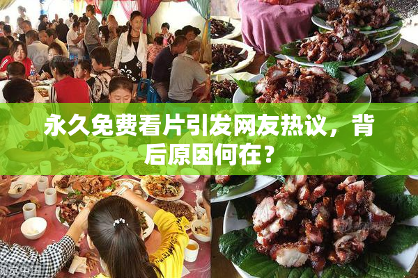 永久免费看片引发网友热议，背后原因何在？