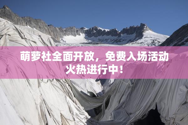 萌萝社全面开放，免费入场活动火热进行中！