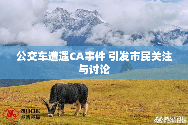 公交车遭遇CA事件 引发市民关注与讨论