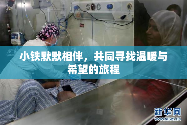 小铁默默相伴，共同寻找温暖与希望的旅程